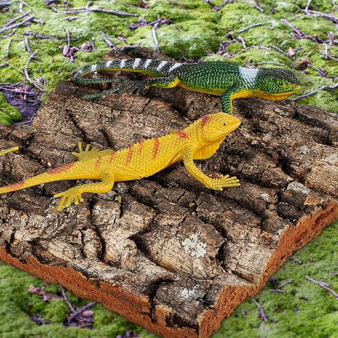 mipcase الفلين النباح خزان الأسماك الديكور 4 قطع خلفية terrarium للزواحف وحوض السمك شفط كأس متوافق الموائل الطبيعية التسلق لضفدع التنين الملتحي أبو بريص in Kuwait