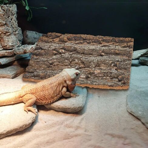 5 Pack Cork Bark 12" L x 8" W Cork Barks for Reptiles Natural Bird Perch Boards Reptile Climbing Mat Wall Terrarium Decor for Birds Turtle Lizard Beared Dragon Chameleon Snake in Saudi Arabia