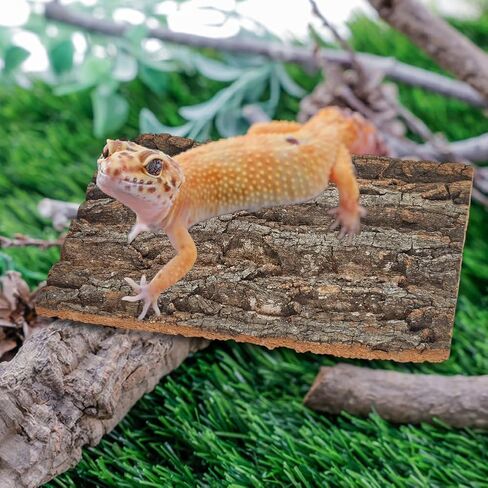 5 Pack Cork Bark 12" L x 8" W Cork Barks for Reptiles Natural Bird Perch Boards Reptile Climbing Mat Wall Terrarium Decor for Birds Turtle Lizard Beared Dragon Chameleon Snake in Saudi Arabia