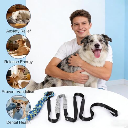 لعبة شد بنجي تفاعلية للكلاب في الهواء الطلق، لعبة حبل على شكل شجرة معلقة للكلاب مع حبل أسود مقاوم لأشعة الشمس وكرة سحب زرقاء قابلة للتعديل للكلاب الصغيرة والكبيرة في ساحة اللعب in Kuwait