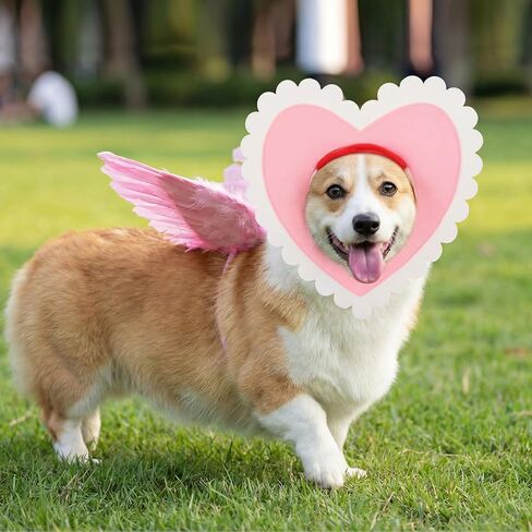 9 Pcs Dog Valentine's Day Outfit with White Feather Wing Heart Hat Headband Heart Shaped Rope Toy Love Themed Dog Outfits Pet Scarf for Medium Dogs Holiday Accessory(13.8 Inches/ 35 cm) in Saudi Arabia