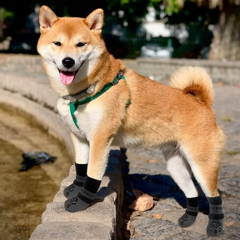 EXPAWLORER 4Pcs Anti-Slip Dog Socks - Double Side Dog Booties for Hot Pavement, Non-Slip Paw Protector for Hardwood Floors, Dog Shoes to Prevent Licking,Grey S in Saudi Arabia