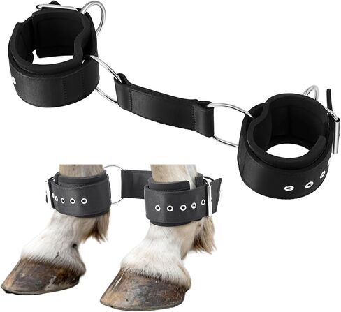 Horse Hobbles, 2-Leg Adjustable Soft Leather Horse Tack for Training, Grazing, Travel - Lightweight, Control Running, Comfortable Restraint Equipment (Black) in Saudi Arabia