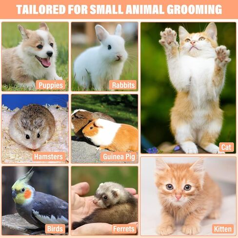 24 قطعة من أدوات تشذيب أظافر القطط وقصافة مخالب القطط، مجموعة مقصات أظافر الحيوانات الأليفة للقطط والقطط والكلاب والجراء والأرانب وأساسيات العناية بالقطط والمربيين وصالونات الحيوانات الأليفة (12 لونًا) in Kuwait