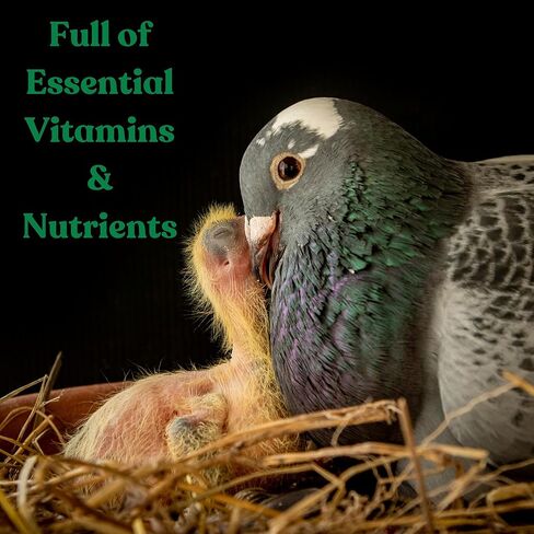 حبوب الكنز للحمام - دعم الخصوبة، تعزيز النمو ومحسن الجهاز المناعي - مكمل طبيعي للسباق والتربية والحمام الصغير - فيتامينات للصحة والأداء in Kuwait