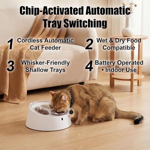 Anifam Microchip RFID Cat Feeder, Automatic Pet Feeder for Multi-Pet Homes, Dog Proof Cat Feeding Station with Stainless Steel Bowls for Small Dogs, Stops Food Stealing & Special Diets in Saudi Arabia