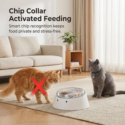 Anifam Microchip RFID Cat Feeder, Automatic Pet Feeder for Multi-Pet Homes, Dog Proof Cat Feeding Station with Stainless Steel Bowls for Small Dogs, Stops Food Stealing & Special Diets in Saudi Arabia