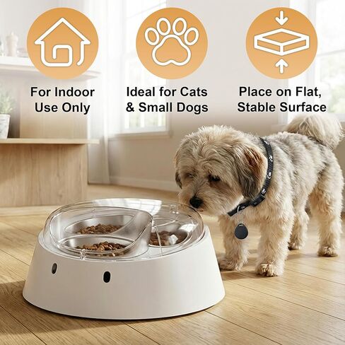 Anifam Microchip RFID Cat Feeder, Automatic Pet Feeder for Multi-Pet Homes, Dog Proof Cat Feeding Station with Stainless Steel Bowls for Small Dogs, Stops Food Stealing & Special Diets in Saudi Arabia