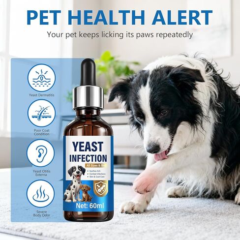 علاج عدوى الخميرة لدعم الكلاب - قطرات علاج عدوى الخميرة الطبيعية للكلاب مع البروبيوتيك والفيتامينات - يخفف من حكة الجلد ولعق المخالب وتهيج الأذن - مكمل صحي للمناعة والأمعاء in Kuwait