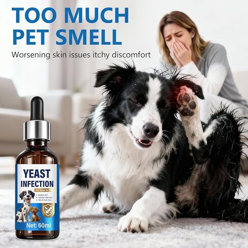 علاج عدوى الخميرة لدعم الكلاب - قطرات علاج عدوى الخميرة الطبيعية للكلاب مع البروبيوتيك والفيتامينات - يخفف من حكة الجلد ولعق المخالب وتهيج الأذن - مكمل صحي للمناعة والأمعاء in Kuwait