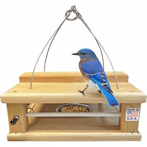 DutchCrafters Cedar Wood Covered Hanging Bluebird Feeder for Mealworms with Food Cup, Enclosed Wooden Dried Mealworm Feeder for Bluebirds for Outdoors in Saudi Arabia