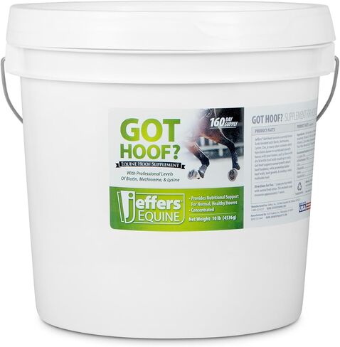 Jeffers Equine Got Hoof? Concentrated Horse Powder Hoof Supplement, 10 lbs - Biotin, Methionine, Zinc & Amino Acids for Safe Hoof Growth, Strength, and Dry Hooves - Includes 1 oz Scoop in Saudi Arabia