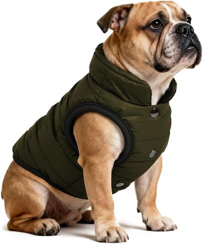 AURUZA Dog Winter Coat, Warm Waterproof Dogs Jacket Small Pet Vest for Medium Dogs Windproof Pet Fleece Vest Snow Jacket for Cold Weather(Navy Blue,M) in Saudi Arabia
