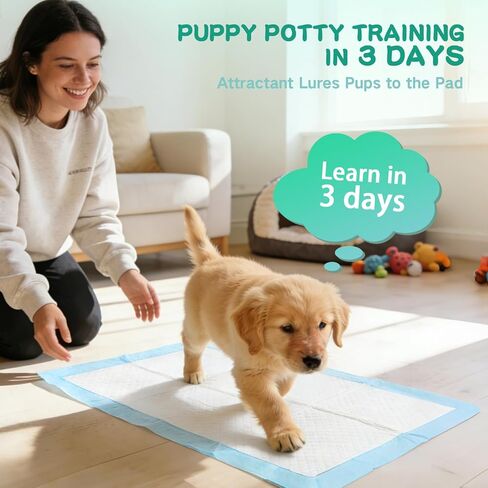 23inx23in Disposable Training Pads 80 Count Plus 200pcs Gloves with 6-Layer Super Absorbency Leak-Proof Design and Quick-Odor Control Potty Training Pee Pads in Saudi Arabia