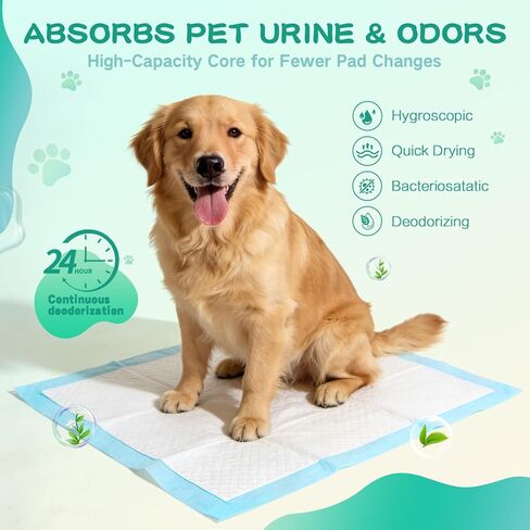 23inx23in Disposable Training Pads 80 Count Plus 200pcs Gloves with 6-Layer Super Absorbency Leak-Proof Design and Quick-Odor Control Potty Training Pee Pads in Saudi Arabia