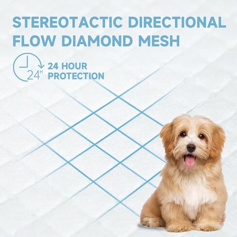 Wee Wee Pads for Dogs, Premium Puppy Pads with 6-Layer Leak-Proof Design, Disposable and Safe Dog Pee Pads, Large (24x36, Holds 9 Cups), 30 Count in Saudi Arabia
