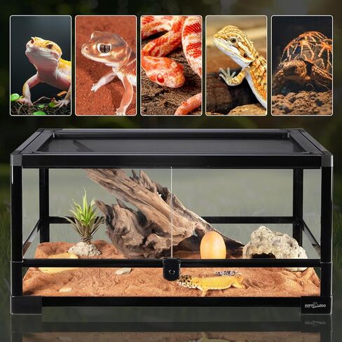 reptizoo تررم الزواحف 24 بوصة × 12 بوصة × 12 بوصة، خزان زجاجي للزواحف سعة 15 جالونًا مع تهوية شاشة علوية للباب المفصلي المزدوج، موئل تررم مفتوح أمامي سهل التجميع in Kuwait