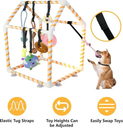 Puppy Play Gym with 8 Hanging Toys for Small Dogs, Indoor Jungle Activity Center with PVC Frame & Bungee Straps, Interactive Enrichment Toys to Keep Puppies Busy in Saudi Arabia