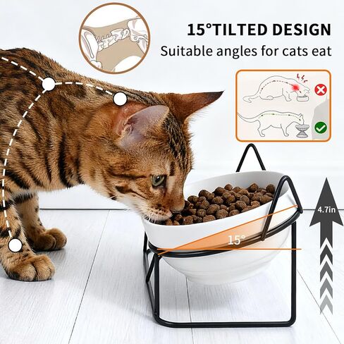 Elevated Cat Food Bowl,Ceramic Raised Water Bowl for Indoor Cats, 15°Tilted Metal Stand Anti Vomiting and Protect Spines,Whisker Fatigue Feeding Dishes,Non-slip and Dishwasher Safe in Saudi Arabia