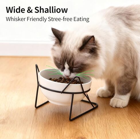 Elevated Cat Food Bowl,Ceramic Raised Water Bowl for Indoor Cats, 15°Tilted Metal Stand Anti Vomiting and Protect Spines,Whisker Fatigue Feeding Dishes,Non-slip and Dishwasher Safe in Saudi Arabia