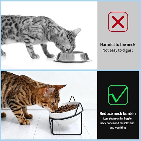 Elevated Cat Food Bowl,Ceramic Raised Water Bowl for Indoor Cats, 15°Tilted Metal Stand Anti Vomiting and Protect Spines,Whisker Fatigue Feeding Dishes,Non-slip and Dishwasher Safe in Saudi Arabia