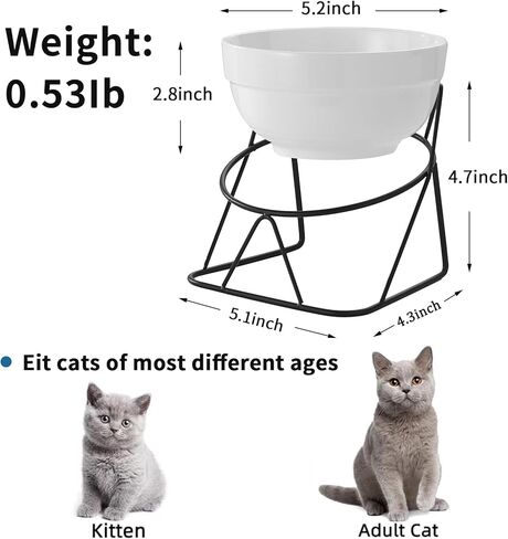 Elevated Cat Food Bowl,Ceramic Raised Water Bowl for Indoor Cats, 15°Tilted Metal Stand Anti Vomiting and Protect Spines,Whisker Fatigue Feeding Dishes,Non-slip and Dishwasher Safe in Saudi Arabia