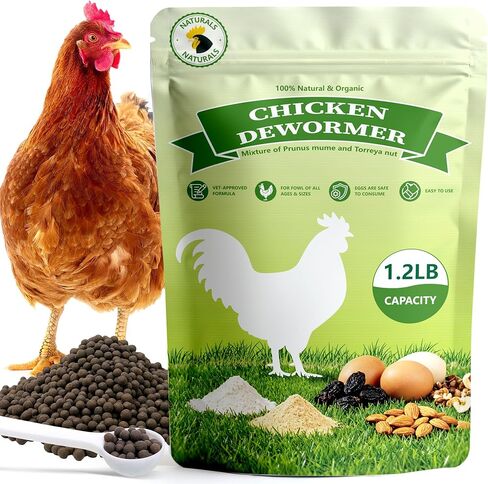 Natural Poultry Wellness Powder, Chili Flavor - Easy-Mix Feed Supplement for Chickens & Birds, Egg-Friendly Daily Support, 1.2 lb Resealable Pouch in Saudi Arabia