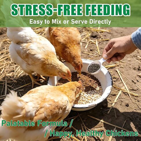 Natural Poultry Wellness Powder, Chili Flavor - Easy-Mix Feed Supplement for Chickens & Birds, Egg-Friendly Daily Support, 1.2 lb Resealable Pouch in Saudi Arabia