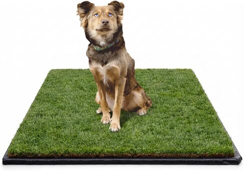 DoggieLawn XXL Real Grass Pee Pads for Dogs with Flex Mat – Fresh Reusable Grass Dog Potty Training Mat with Tray – Apartment-Friendly Indoor/Outdoor Pet Litter Box Patch – 48x48 Inches in Kuwait