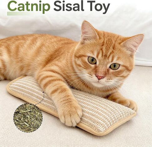 لعبة وسادة السيزال النعناع البري، 2 حزمة من ألعاب النعناع البري الطبيعية التفاعلية للخدش الداخلي والمضغ والتسنين، ممتعة للقطط الصغيرة والقطط البالغة وتخفيف القلق in Kuwait