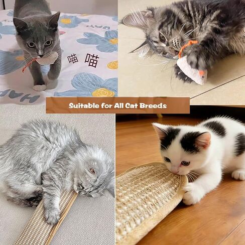 لعبة وسادة السيزال النعناع البري، 2 حزمة من ألعاب النعناع البري الطبيعية التفاعلية للخدش الداخلي والمضغ والتسنين، ممتعة للقطط الصغيرة والقطط البالغة وتخفيف القلق in Kuwait