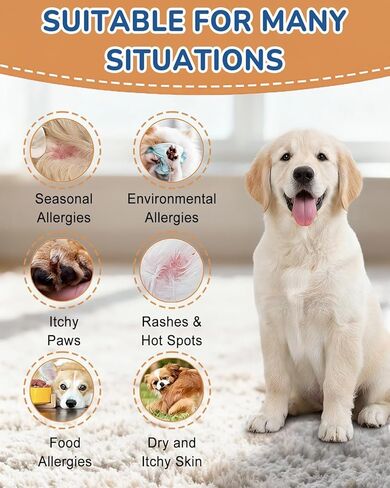 مضغ حساسية الكلاب 260 قيراط - 23 أوقية مكملات للكلاب لحكة الجلد ولعق المخالب، تركيبة مختبر الولايات المتحدة الأمريكية مع البروبيوتيك، الكلاب هي تخفيف الحكة البشرية بالفيتامينات المتعددة، وتعزيز الجهاز المناعي in Kuwait