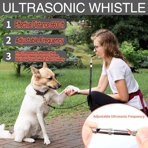 مجموعة أدوات تدريب الكلاب، تتضمن خصرًا لتدريب الحيوانات الأليفة، وحقيبة 2 جهاز نقر لتدريب الكلاب، وحقيبة مكافآت، وصفارة صامتة بالموجات فوق الصوتية، وجهاز نقر صافرة 2 في 1، وكتيب دليل التدريب، وأكياس فضلات الكلاب (أسود) in Kuwait