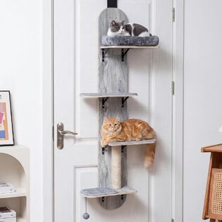 PETSITE كتالوج المنتج