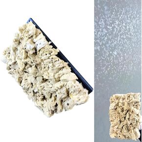 Natural Sea Sponge Daubers for Wall Texture Painting - Reusable Texturing Tool for Intricate Patterns, Professional & DIY Home Renovation Art Paint Projects (BC018-M) in Saudi Arabia