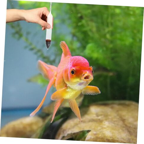 Homoyoyo 2pcs High Accuracy Fish Tank Hydrometer Meters Digital Display Water Density for Saltwater Aquariums in Saudi Arabia