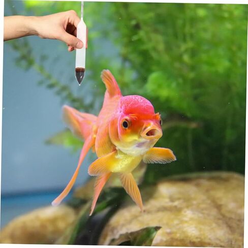 DECHOUS Aquarium Meter Glass Hydrometer for Saltwater Fish Tank Accurate Water Measuring Tester 2-Piece Set for Aquatic Measurement in Saudi Arabia