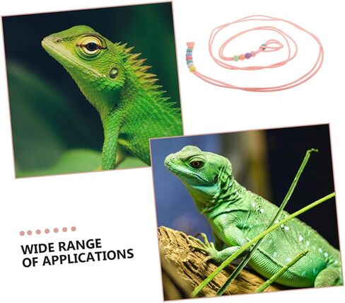 minkissy 3pcs Glow-in-The-Dark Reptile Harness and Leash Set for Small Pets, Soft Portable Nylon Rope Leash for Bearded Dragon and Lizards Outdoor Walking in Kuwait