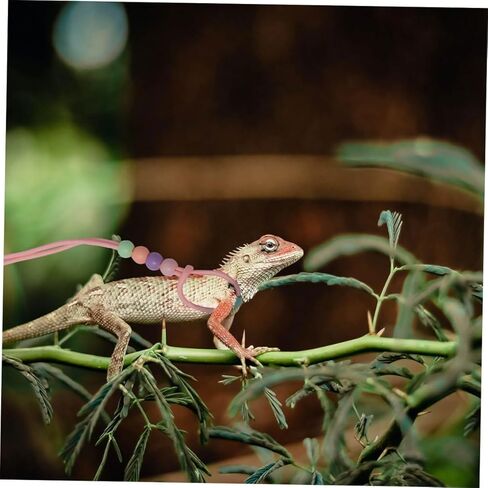 minkissy 3pcs Glow-in-The-Dark Reptile Harness and Leash Set for Small Pets, Soft Portable Nylon Rope Leash for Bearded Dragon and Lizards Outdoor Walking in Kuwait