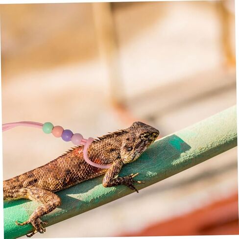 minkissy 3pcs Glow-in-The-Dark Reptile Harness and Leash Set for Small Pets, Soft Portable Nylon Rope Leash for Bearded Dragon and Lizards Outdoor Walking in Kuwait