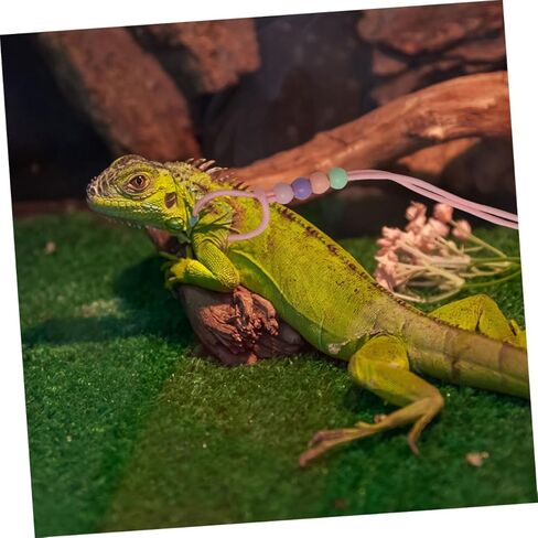 minkissy 3pcs Glow-in-The-Dark Reptile Harness and Leash Set for Small Pets, Soft Portable Nylon Rope Leash for Bearded Dragon and Lizards Outdoor Walking in Kuwait