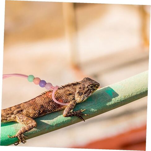 Homoyoyo 3pcs Adjustable Bearded Dragon Harness Leash Set, Glow-in-The-Dark Lizard Walking Rope for Small Pets Outdoor Travel and Safety in Saudi Arabia