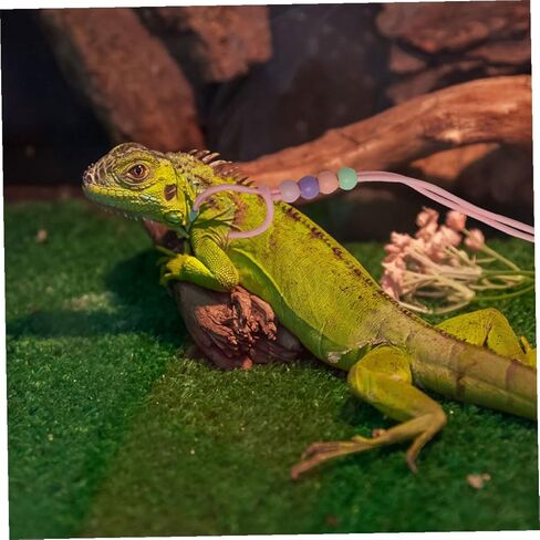 Homoyoyo 3pcs Adjustable Bearded Dragon Harness Leash Set, Glow-in-The-Dark Lizard Walking Rope for Small Pets Outdoor Travel and Safety in Saudi Arabia