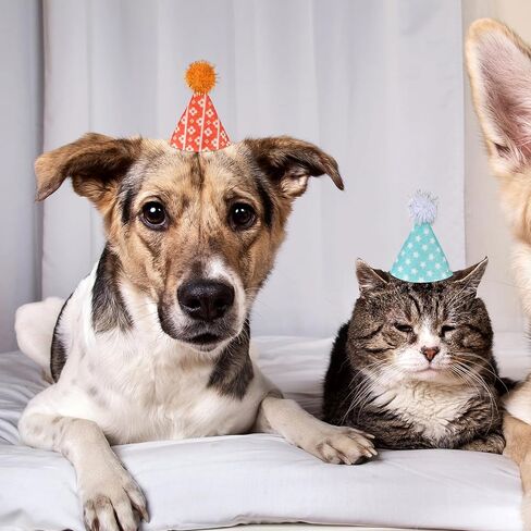 10 قطع من قبعات الحفلات الصغيرة للحيوانات المحشوة، قبعات مخروطية ملونة لحفلات عيد ميلاد الكلاب الصغيرة مع كرات بوم، قبعة عطلة متنوعة قابلة للتعديل للدمى الصغيرة والجرو والحيوانات والأرنب (3.2 بوصة) in Kuwait