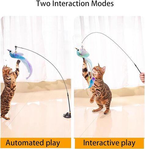 Cat Toys Interactive Hands-Free 6 Pack Cat Toys for Indoor Cats Toy Wand Natural Bird Feather, Suction Cup Pet Indoor Dancing Playing Toys, Suction Cup Pet Dancing Playing in Saudi Arabia