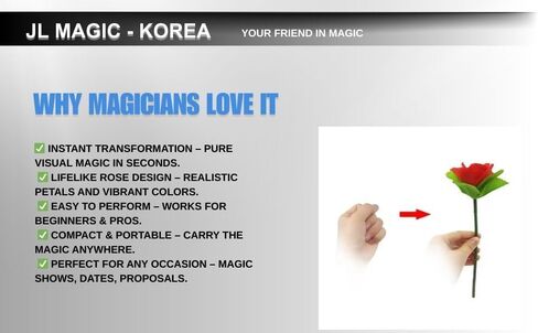 ظهور الوردة من الحرير - خدع سحرية لزهرة الورد الظاهرة القابلة للطي، وسيلة للتحايل السحرية لإنتاج الزهور المرئية in Kuwait