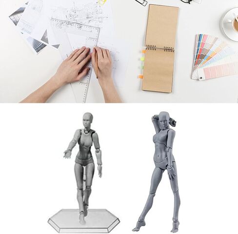 Drawing Action Figures Female and Male PVC Drawing Doll Model Figure Human Body with Joints for Artists, Customizable Poses Movable PVC Widely Used Drawing Mannequin Family in Kuwait