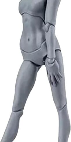 Drawing Action Figures Female and Male PVC Drawing Doll Model Figure Human Body with Joints for Artists, Customizable Poses Movable PVC Widely Used Drawing Mannequin Family in Kuwait