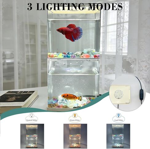 Small Betta Fish Tank, 2-Pack 0.3 Gallon Mini Aquarium with Adjustable Base Light & Gravels & Resin Crystal, Acrylic Fish Bowl for Desk Homes or Offices, Ideal for Beta Fish,Goldfish (White -2 Pack) in Saudi Arabia