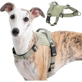 No Pull Dog Harness Small Sized Dog - Escape Proof Reflective Harness with Handle and Pocket for Airtag Tracker, Adjustable Dog Harness with Front Clips for Walking Hiking Training(Green, S) in Kuwait